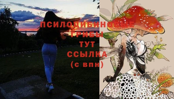 mix Аркадак