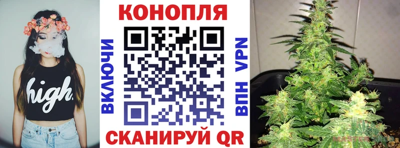 Бошки Шишки гибрид Спасск-Рязанский